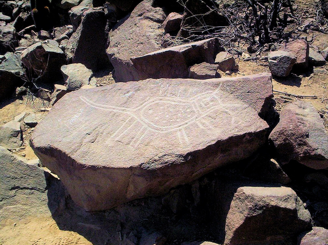 Zona Arqueológica Petroglifos de Checta-Canta必去景点