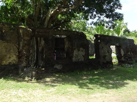 Arippu Dutch Fort-马纳尔必去景点