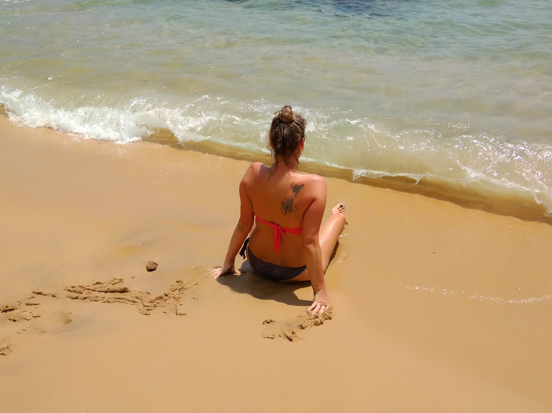 White Lion Paradise主图