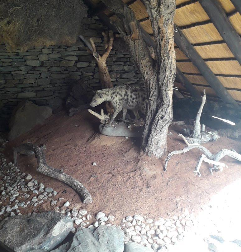 Comfort Tours and Safaris Namibia-温德和克必去景点