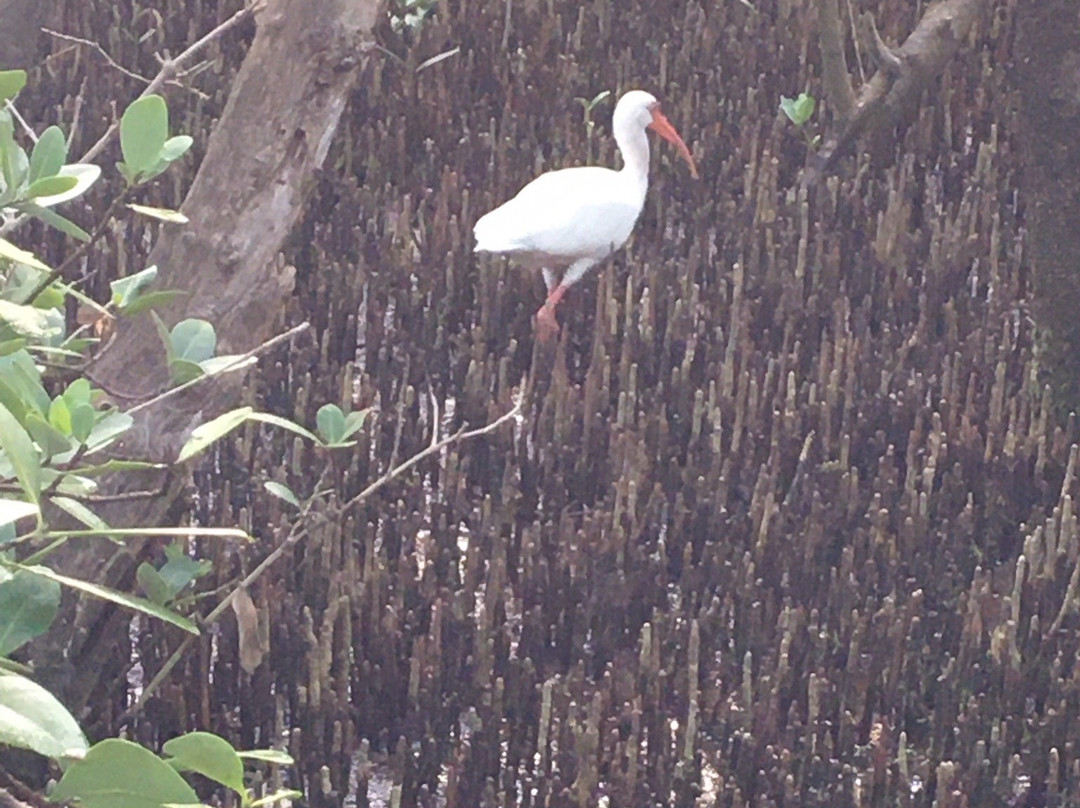 Rotary Park Environmental Center-开普科勒尔必去景点