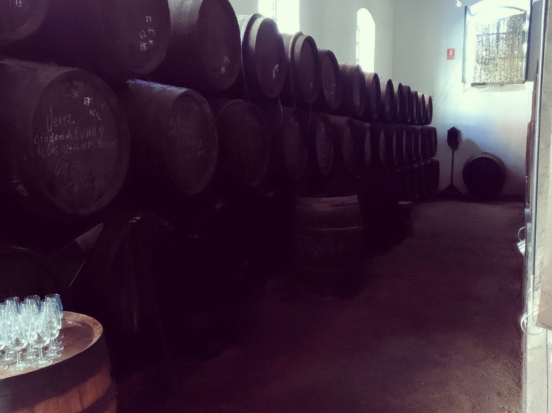 Bodegas Faustino Gonzalez景点图片