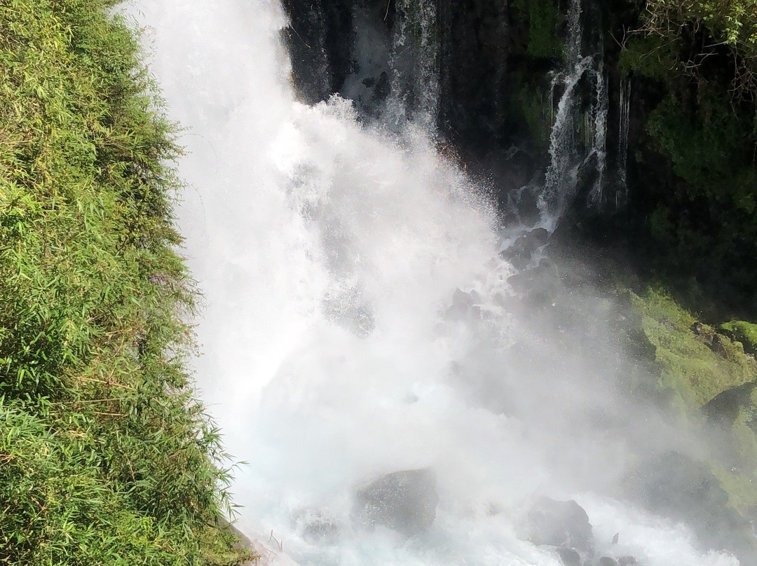Ojos del Huishue-Lago Ranco必去景点