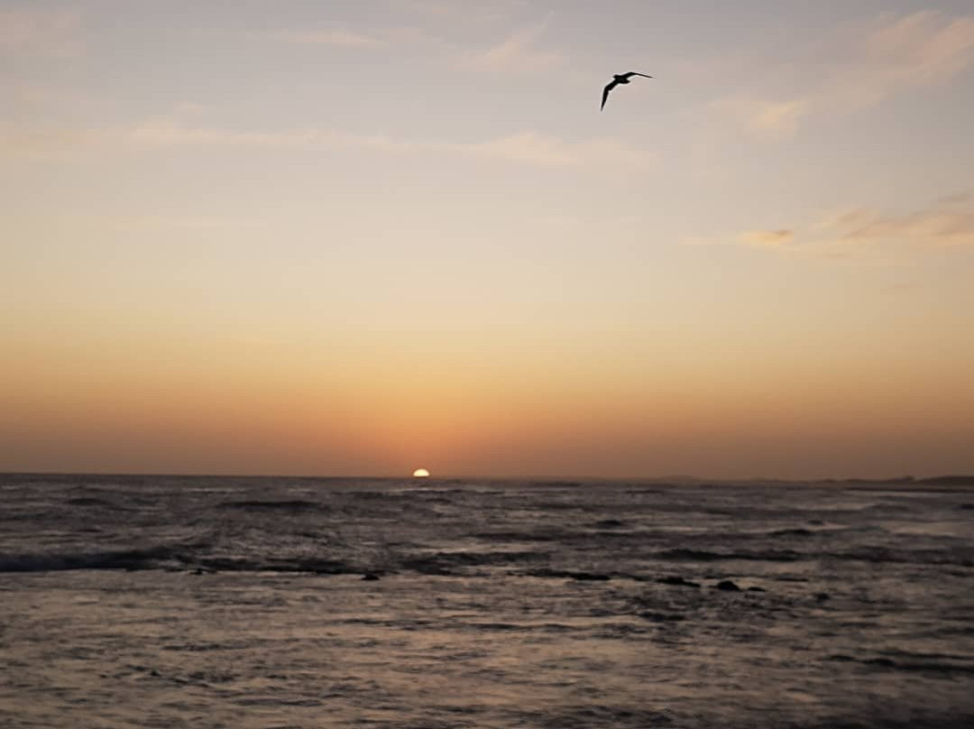 Balneario La Paloma-Rocha必去景点