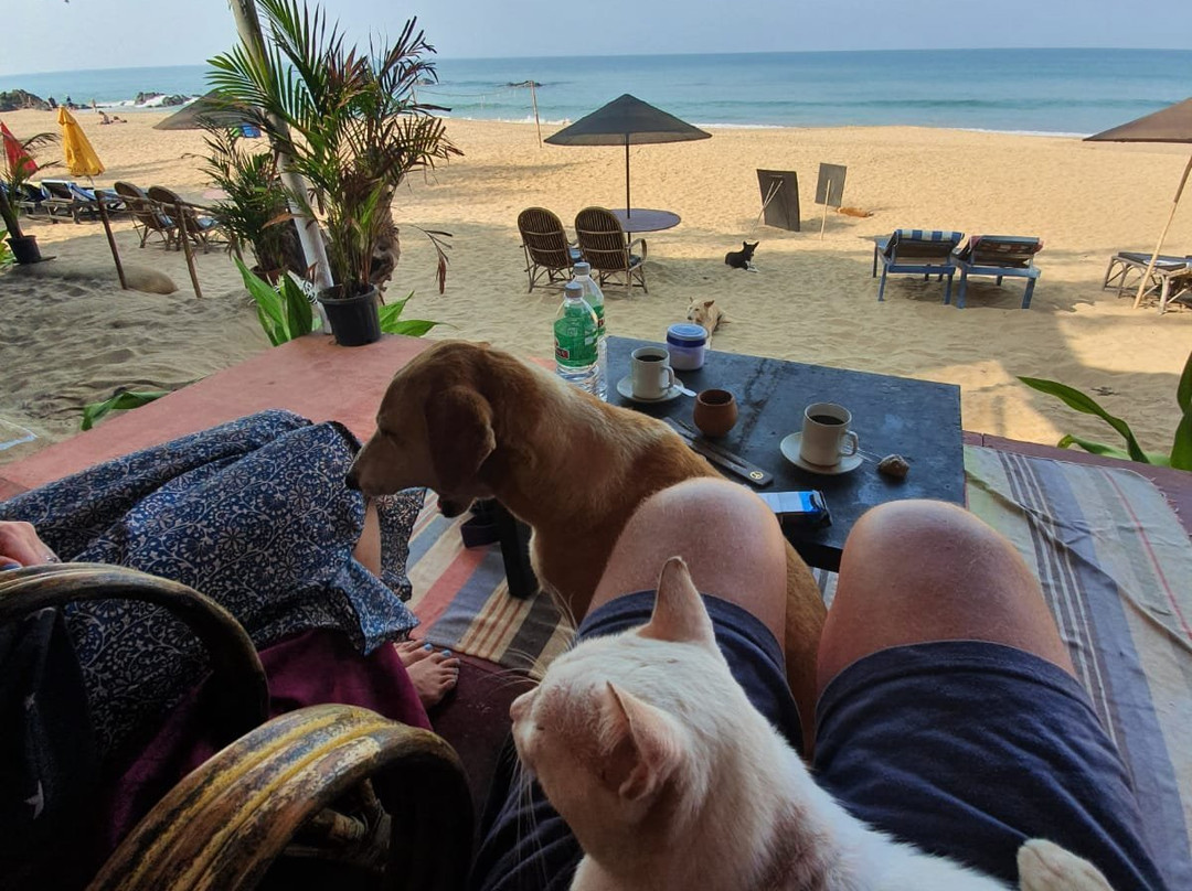 Bougainvillea Patnem主图