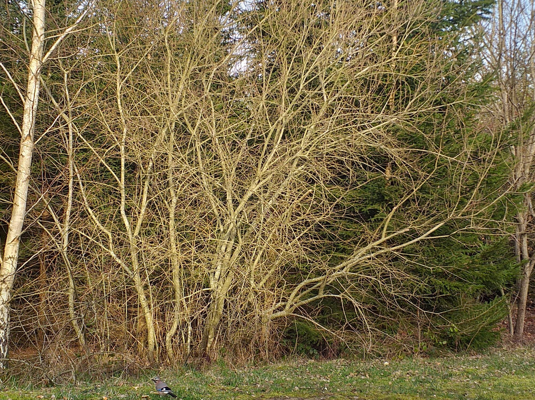 Aqua Mundo Center Parcs Les Trois Forêts-阿蒂尼必去景点