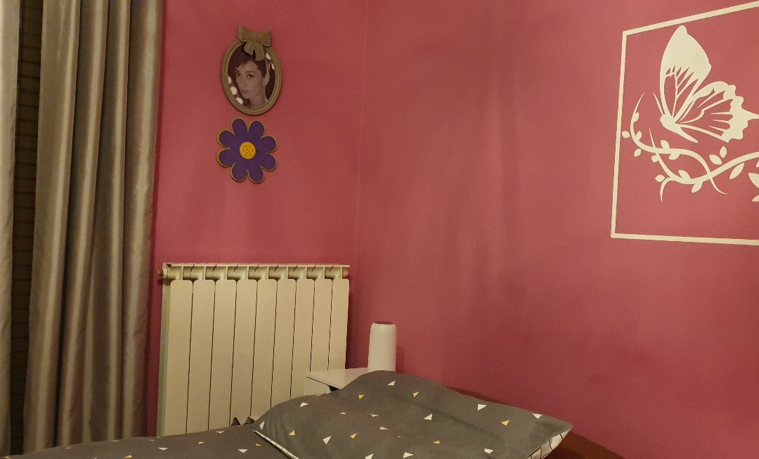 B&B L'Albero Maestro主图