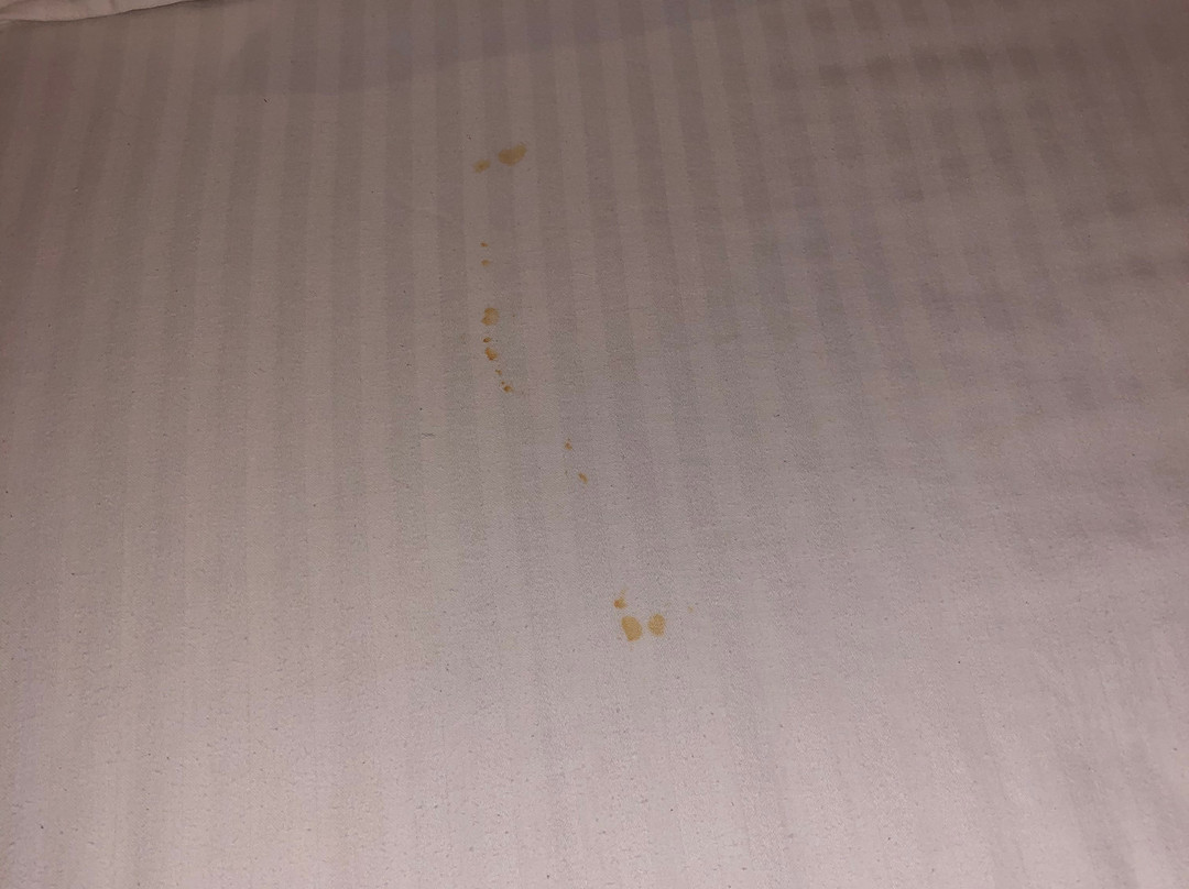 Terrace Valley Hotel主图