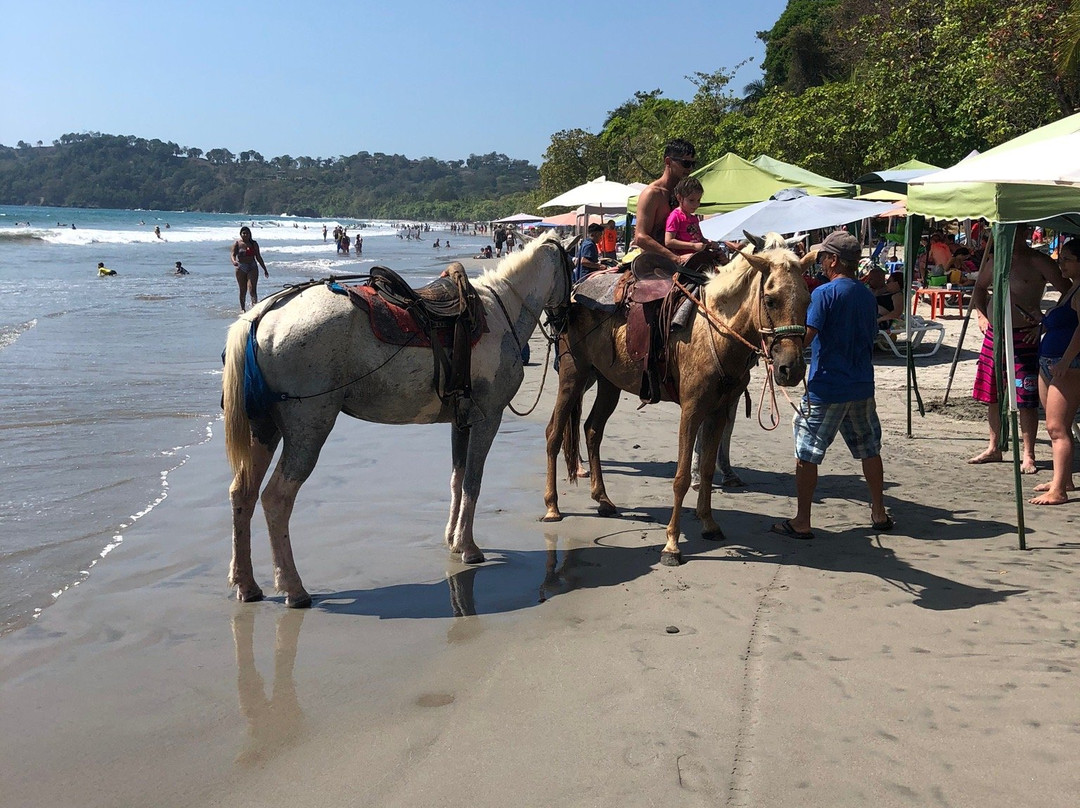 Playa Espadilla Norte景点图片
