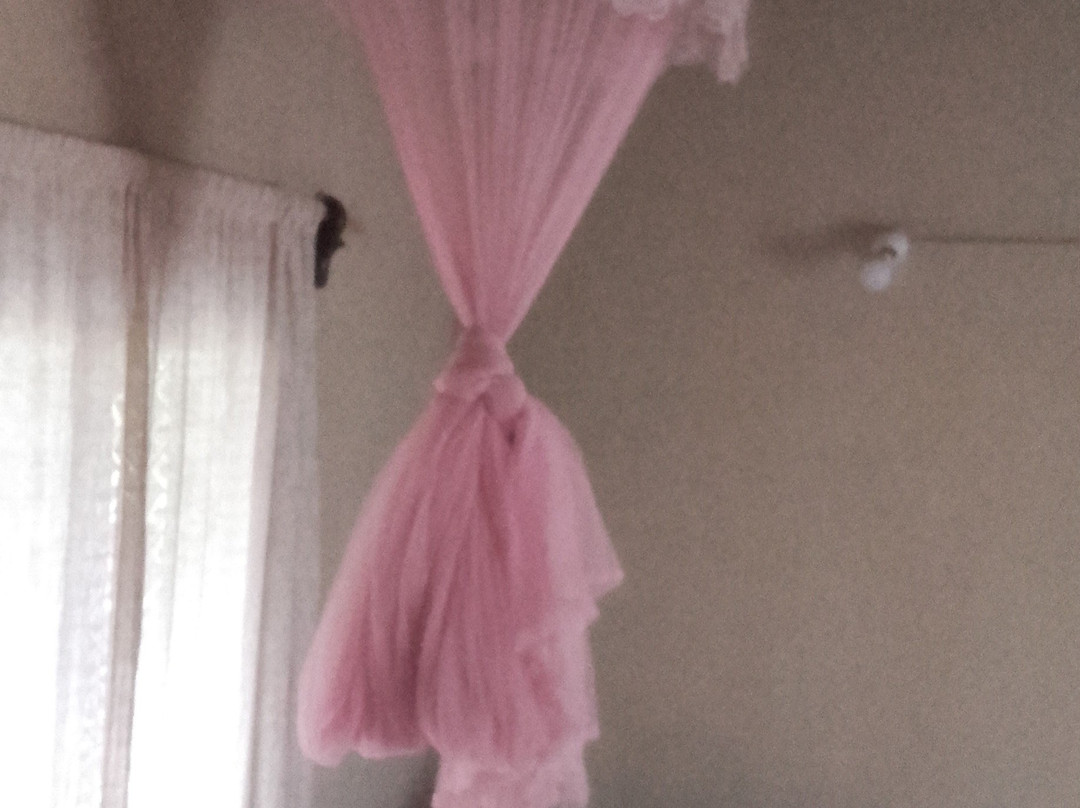 Tharu Community Home Stay主图