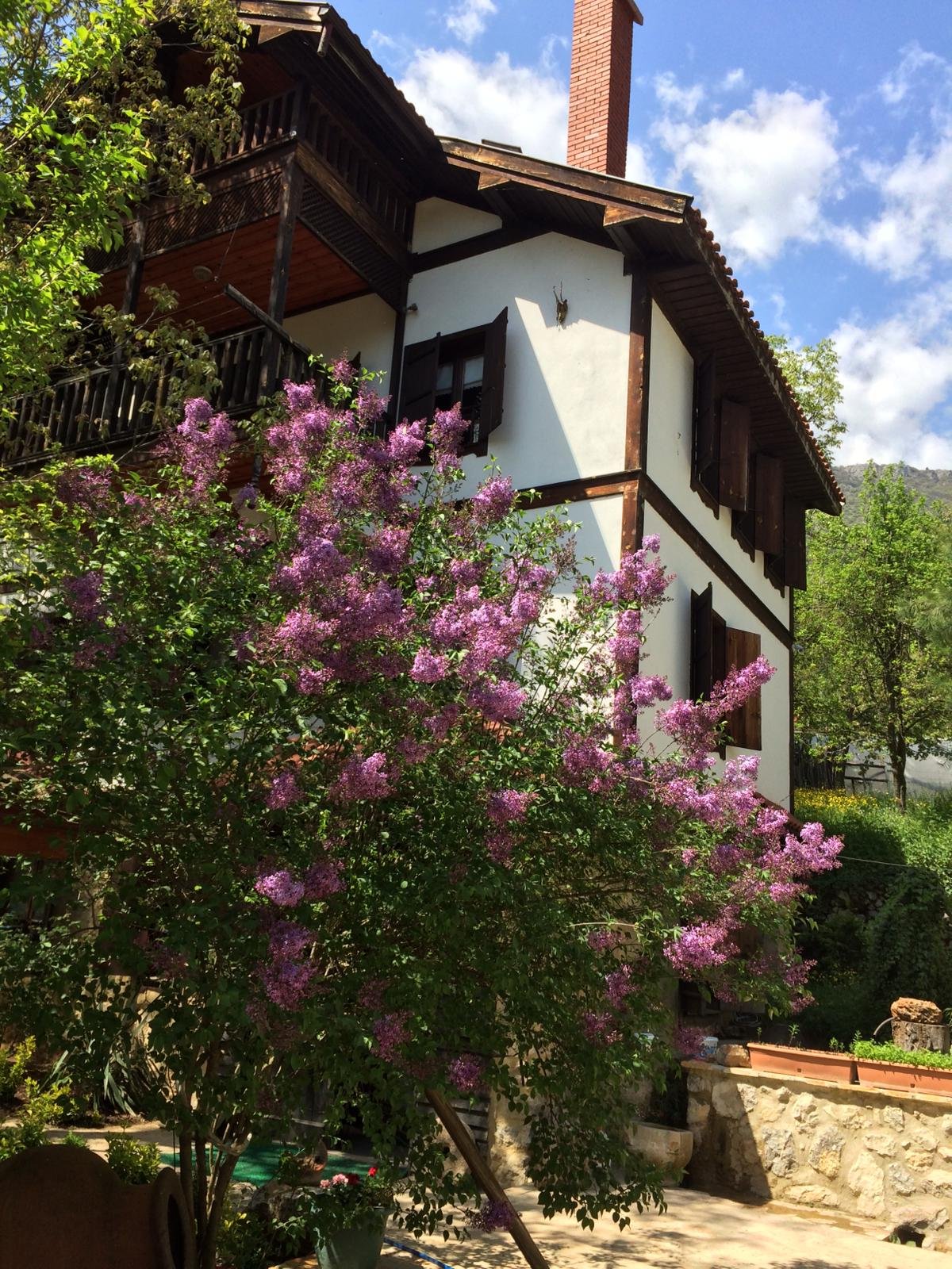 Yeşil Çizme Doğa Evi-portrait