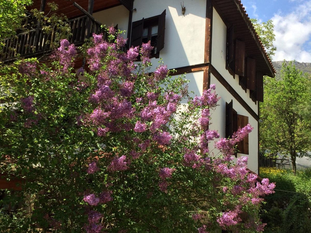 Yeşil Çizme Doğa Evi主图