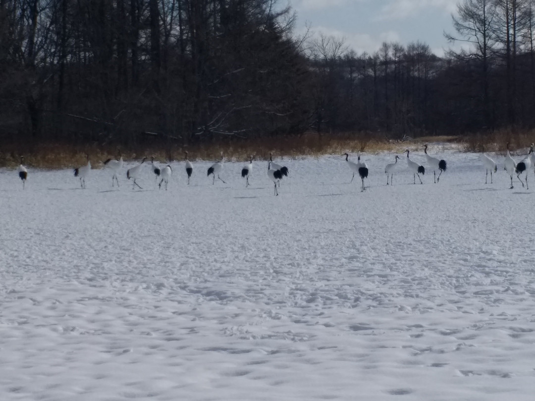 R-鹤居村必去景点