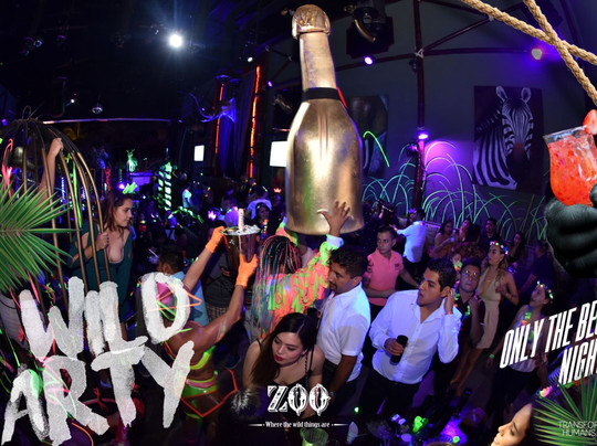 Zoo Bar-瓦拉塔港必去景点