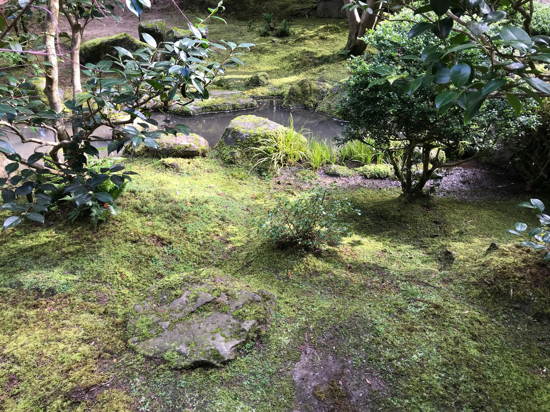 波特兰日本花园景点图片