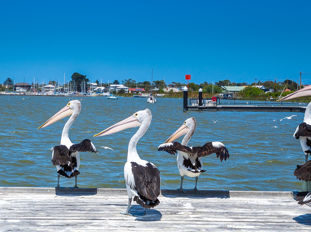 Goolwa Visitor Information Centre-Goolwa必去景点