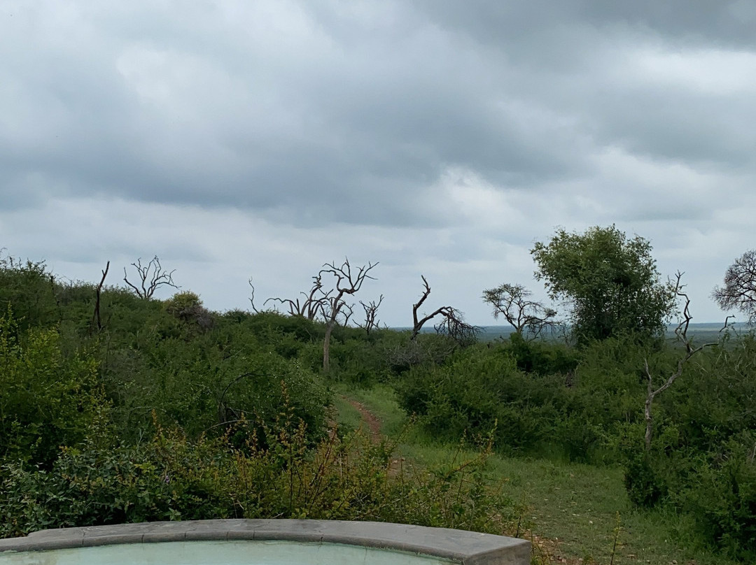 因博迪莫游戏小屋主图