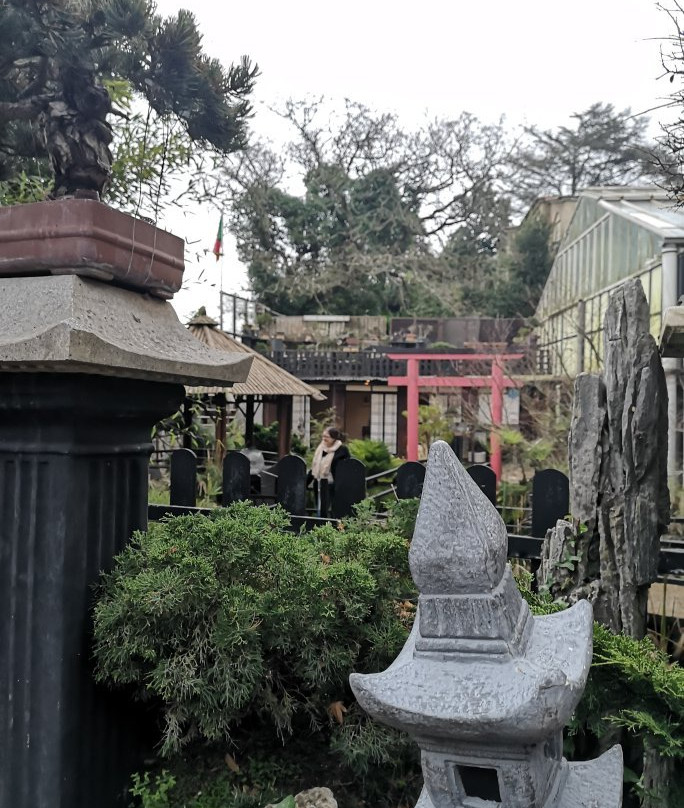 Zen Museu do Bonsai主图