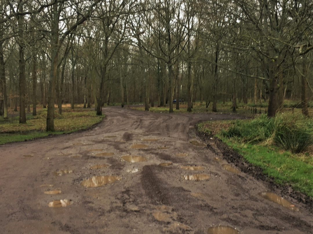 Orlestone Forest Nature Reserve-Warehorne必去景点