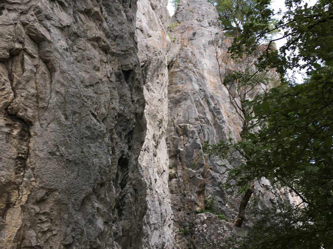 Pajstun Castle-Stupava必去景点