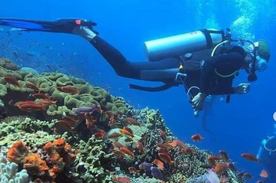 Wayan Bali Driver-佩母德兰必去景点