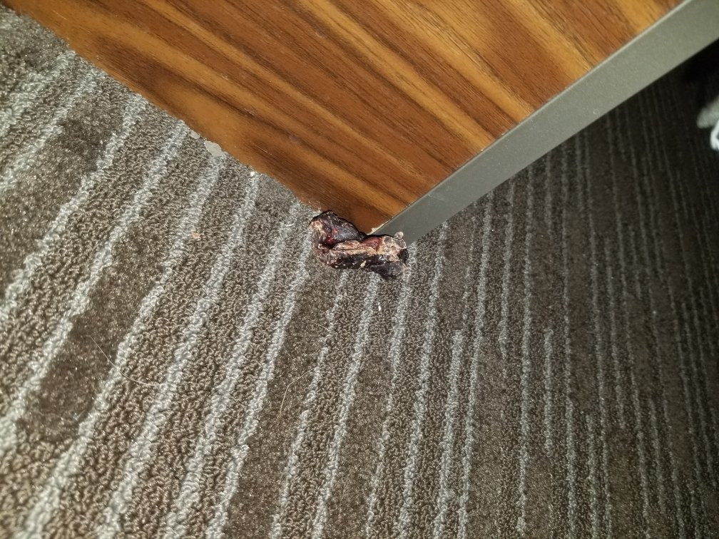 AmericInn by Wyndham Marshall主图