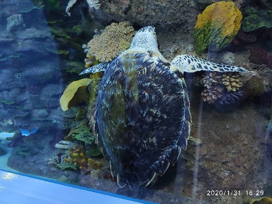 Maritime Museum-沙迦必去景点