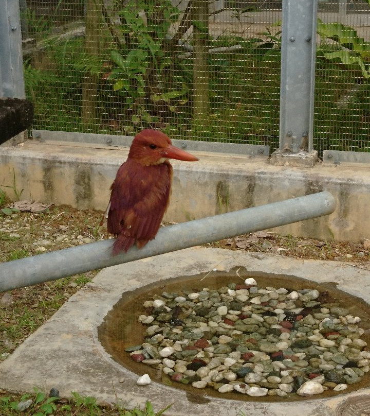 冲绳儿童王国-冲绳市必去景点