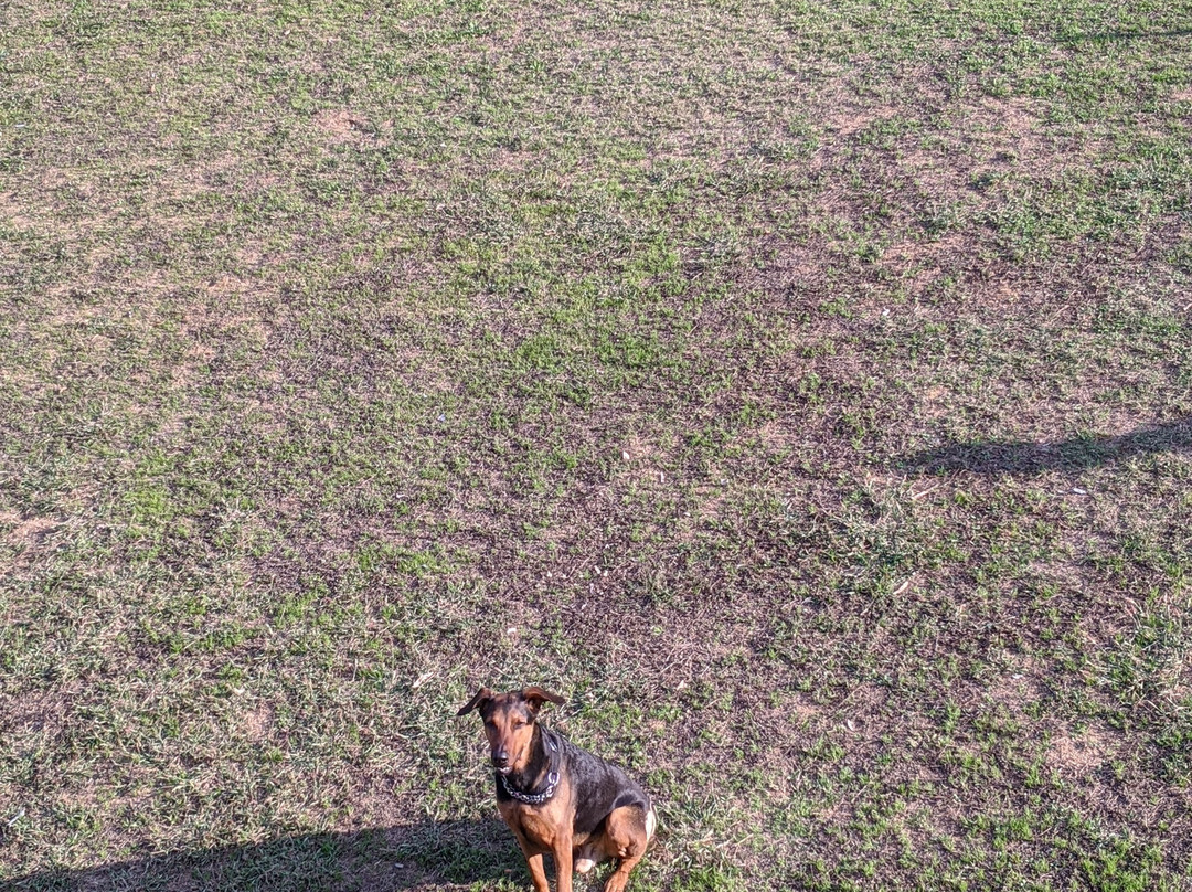 Lemon Tree Hotel, Tarudhan Valley, Manesar主图