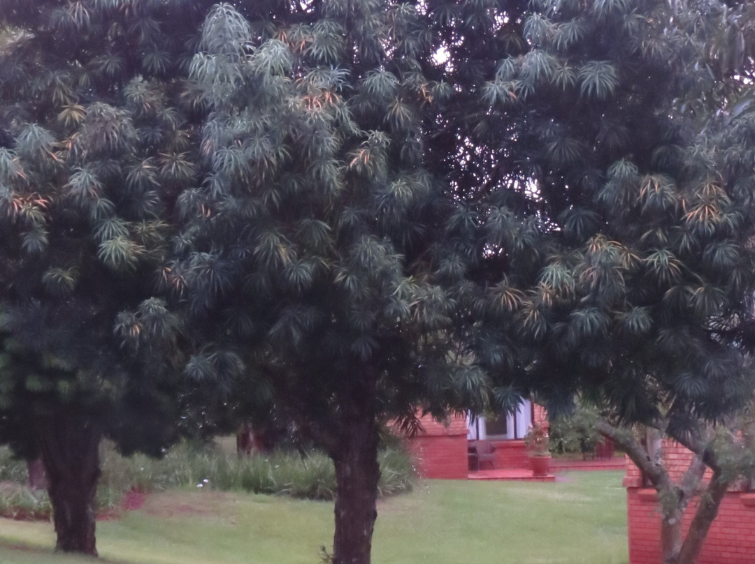 格林韦伍兹度假村主图