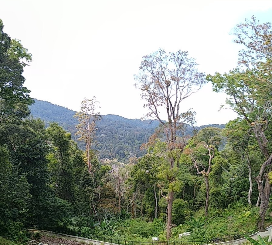 Masjid Bukit Bendera (Penang Hill Mosque)-槟城岛必去景点