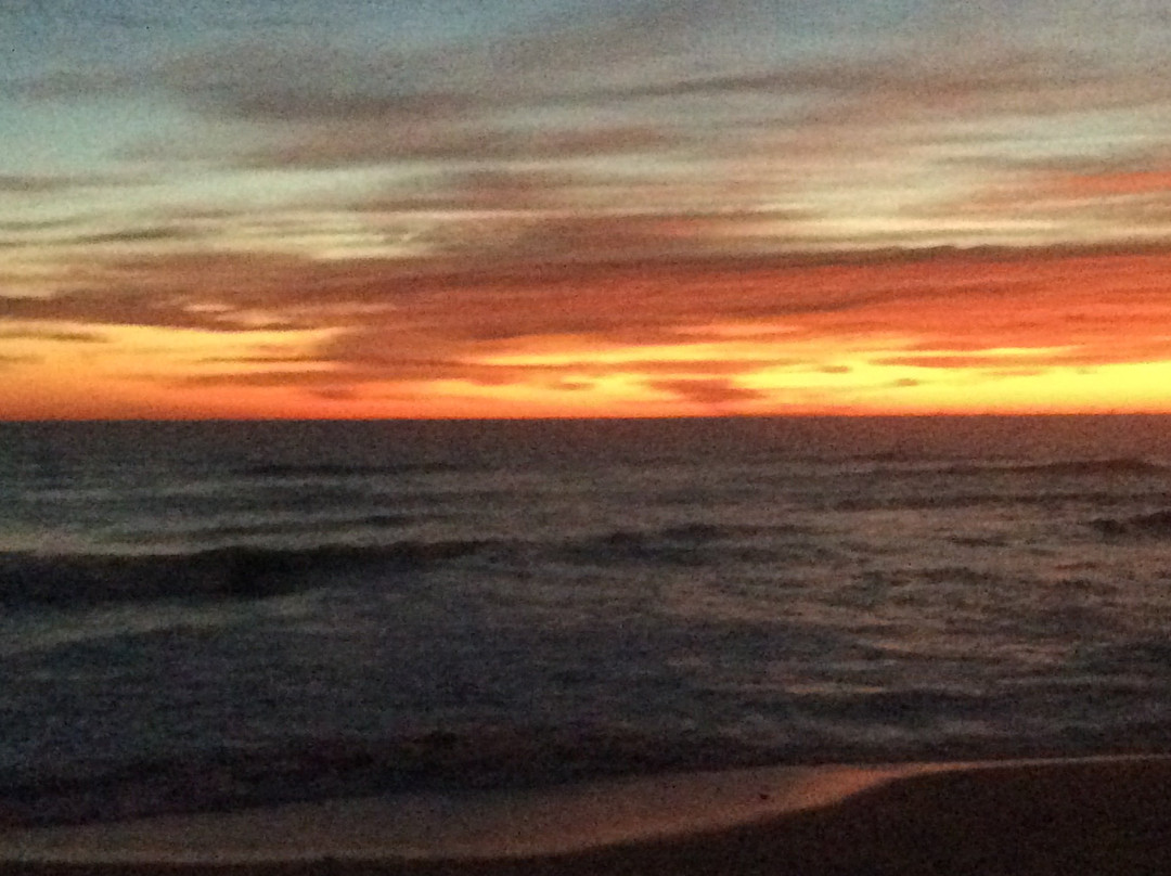 Whale Watch Motel主图