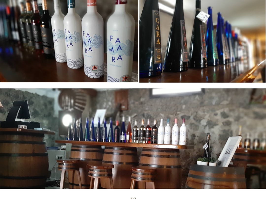 Bodegas Vega de Yuco景点图片