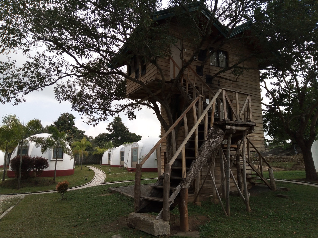 The Lion Kingdom主图