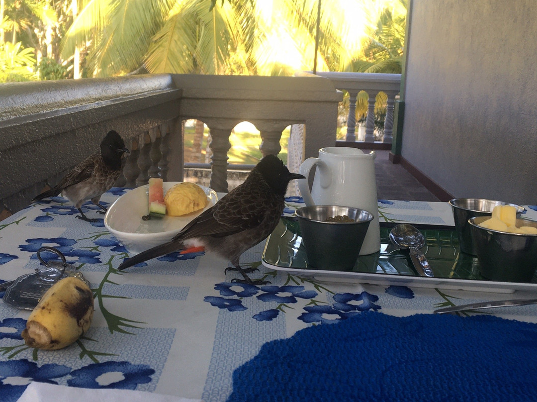 Sagarika Beach Hotel主图