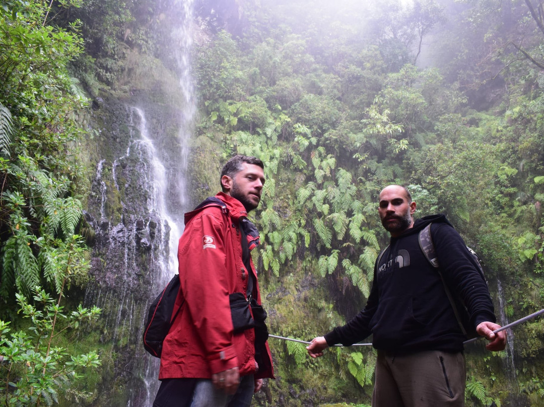 Parque Florestal das Queimadas-Santana必去景点