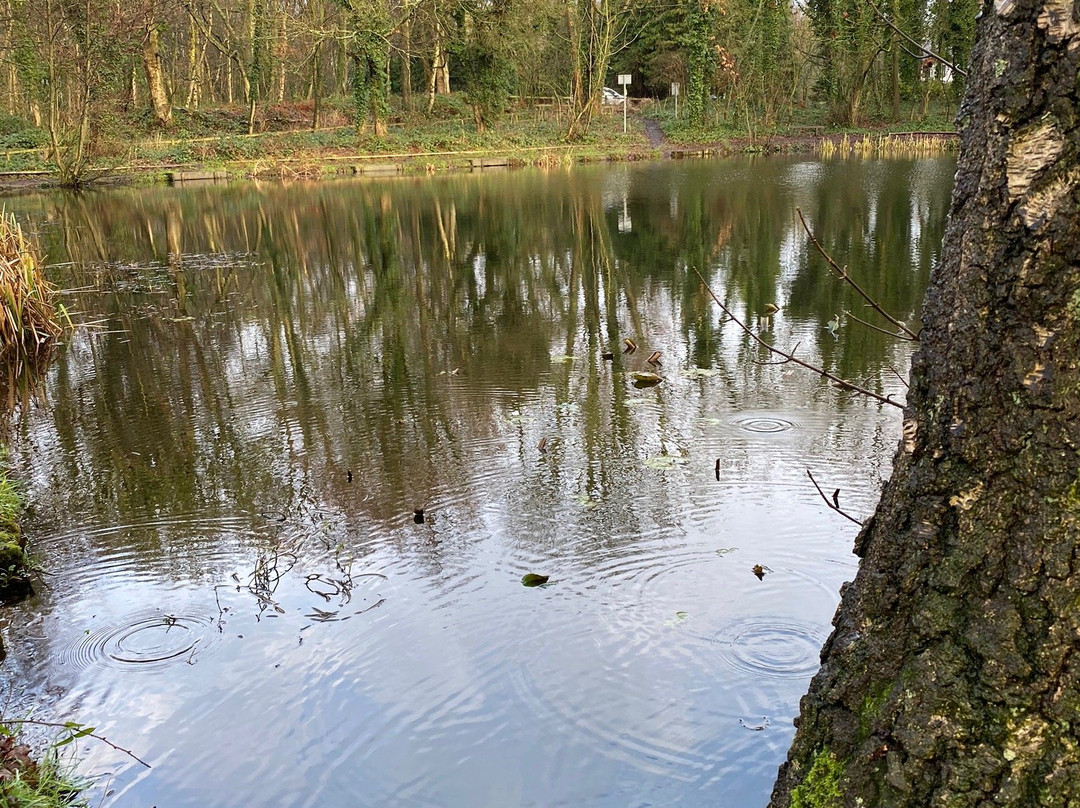 Siding Lane Local Nature Reserve-Rainford必去景点