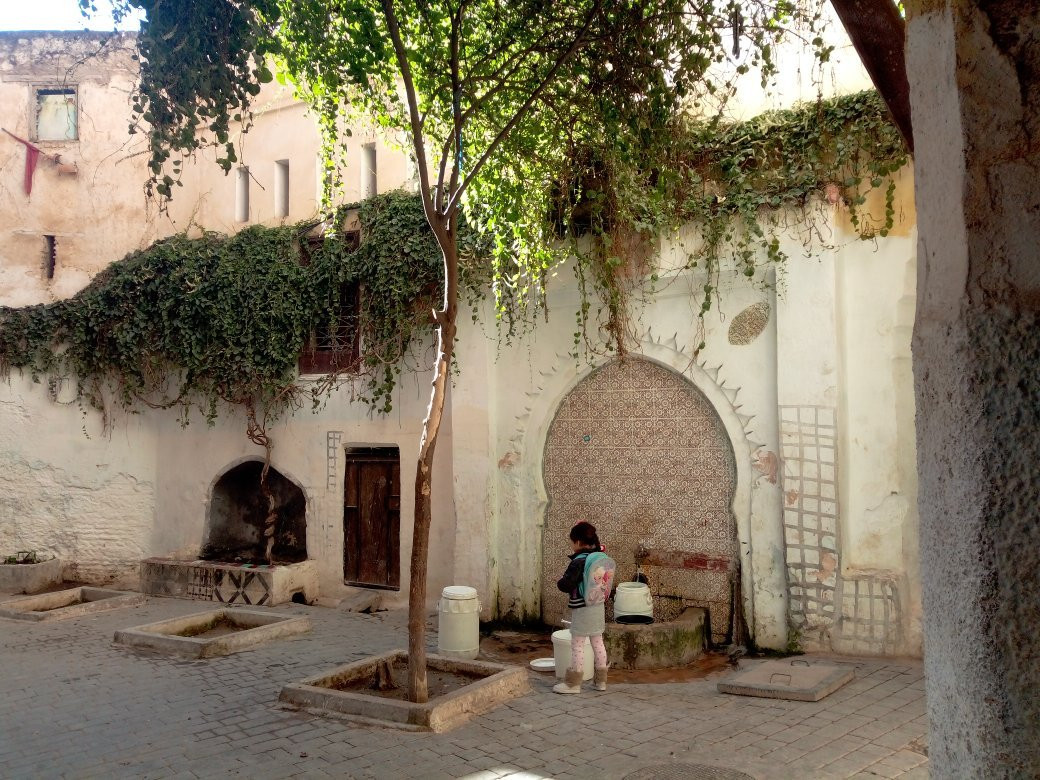 Fes guide! walking tours.-非斯必去景点