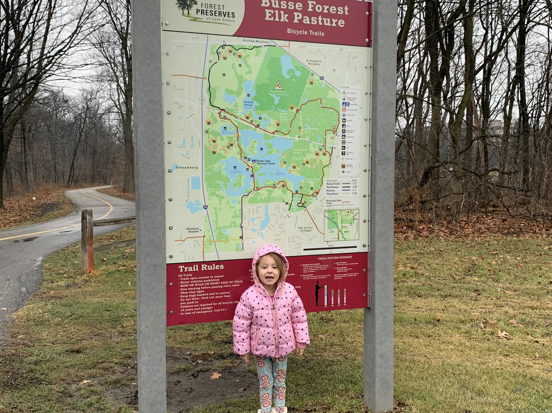 Busse Forest Elk Pasture-埃尔克格罗夫村必去景点