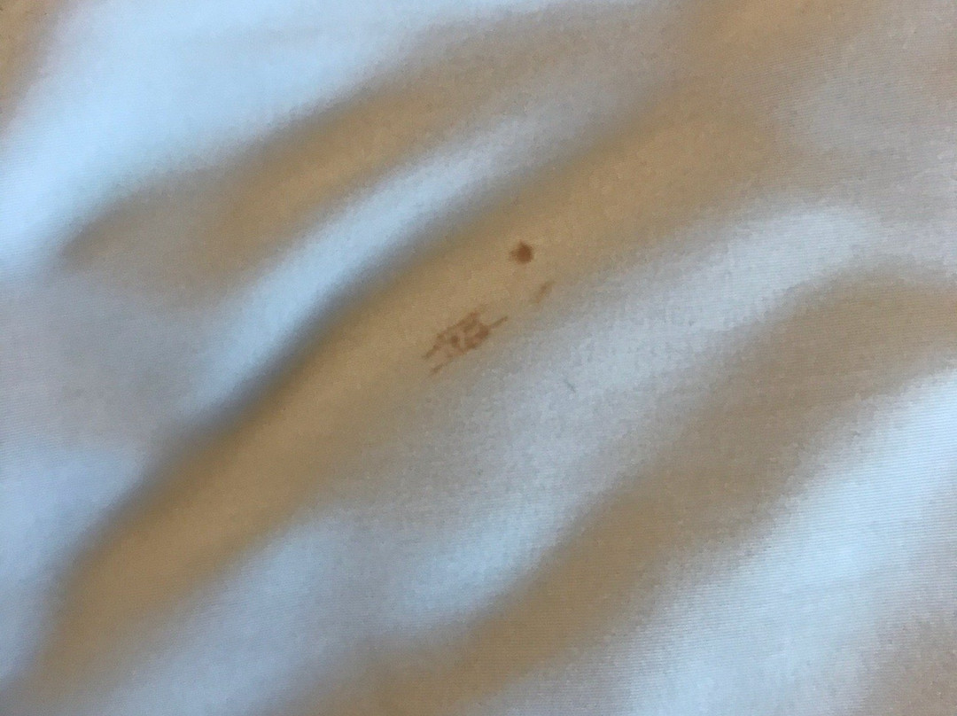 Microtel Inn & Suites by Wyndham Anderson / Clemson主图