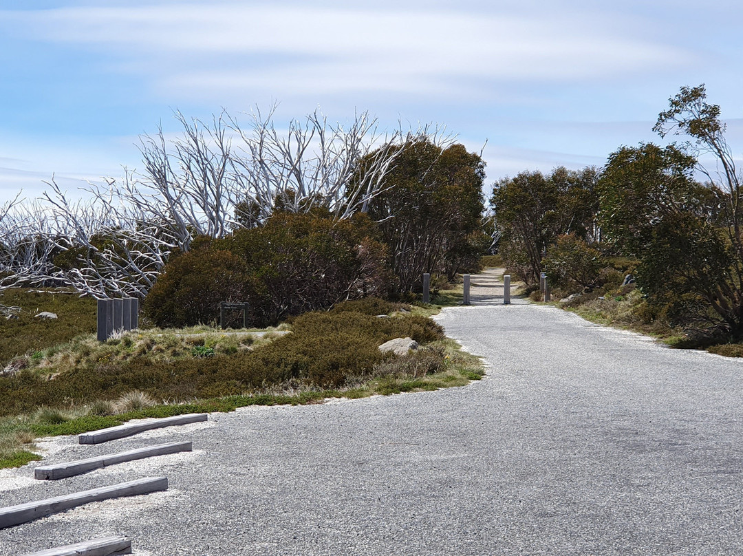 Wallaces Heritage Trail-Falls Creek必去景点