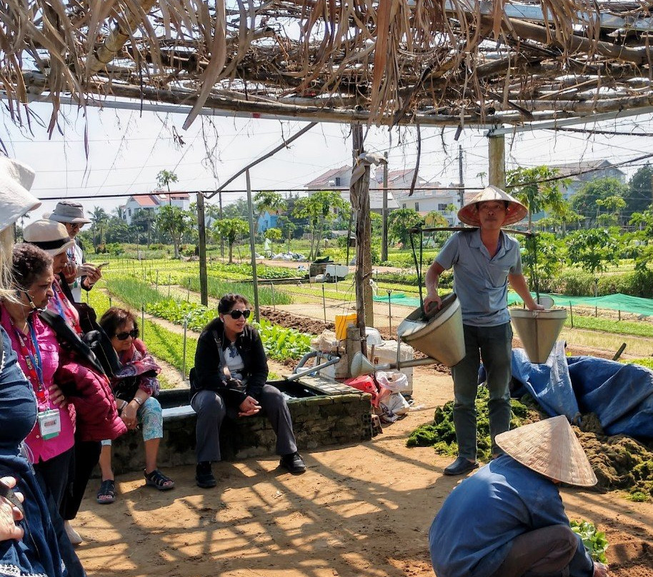 Tra Que Vegetable Village-会安必去景点