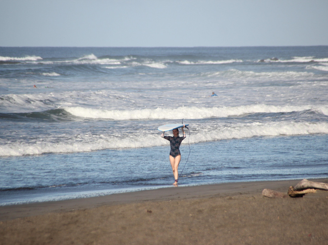 Wellness Retreats Costa Rica景点图片