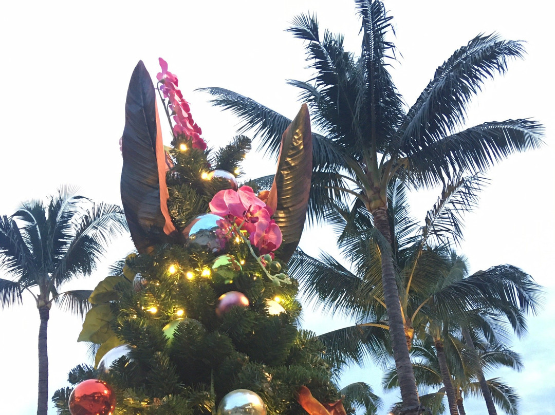 Whaler Inn Beach Club主图