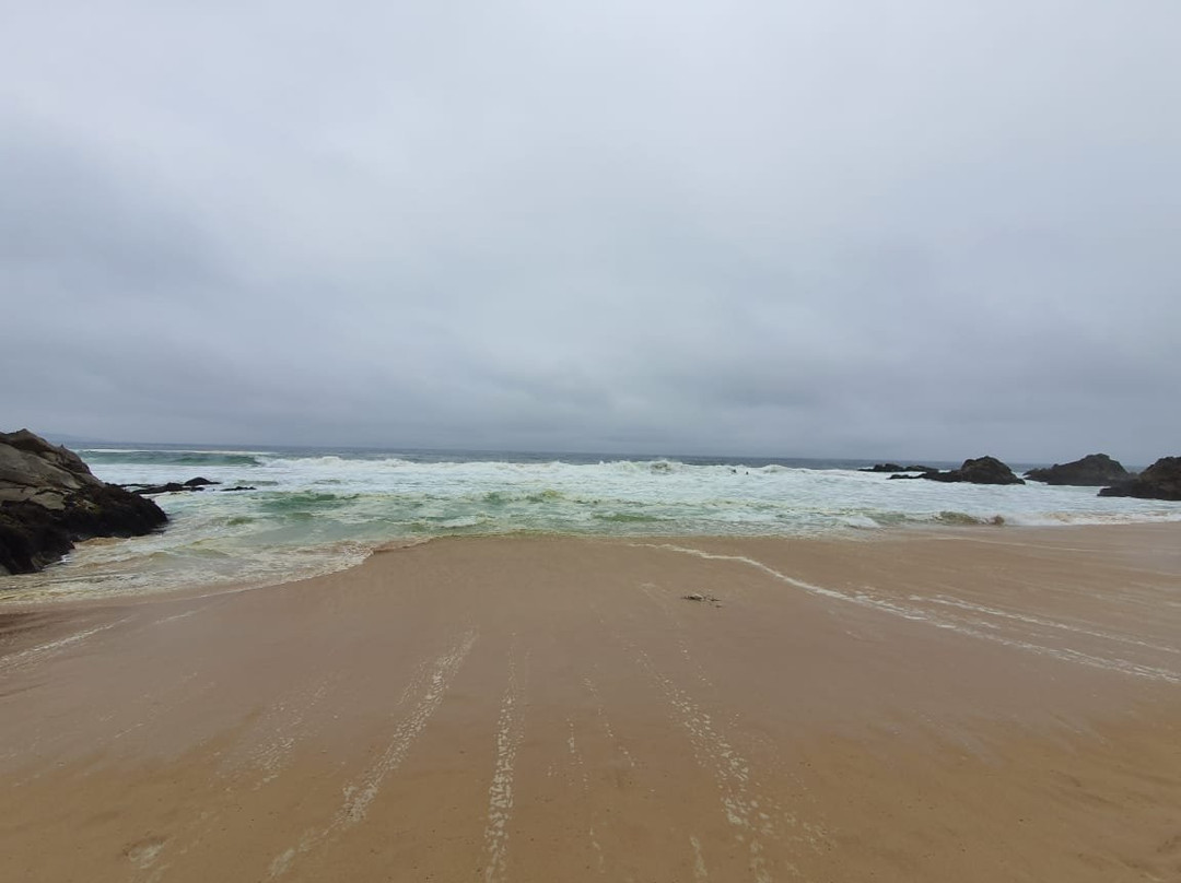 Playa Mirasol景点图片
