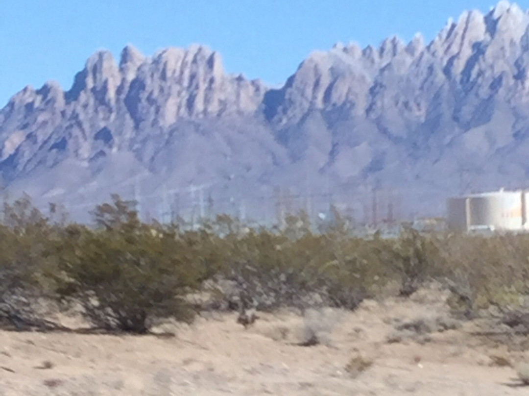 New Mexico Farm and Ranch Heritage Museum-拉斯克鲁塞斯必去景点