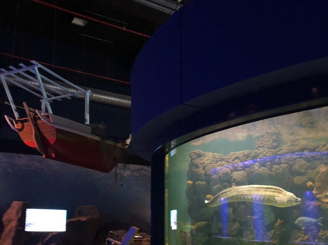 Scitech (Prince Sultan Science And Technology Center)-胡拜尔必去景点