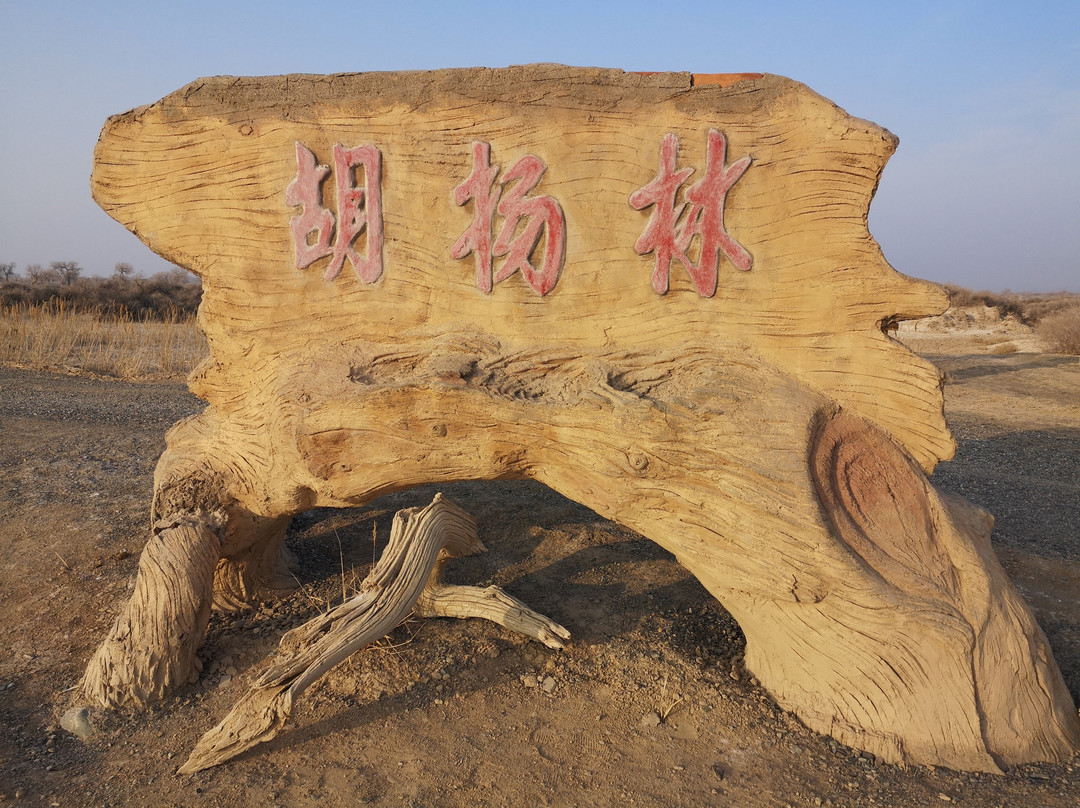 原始胡杨林-木垒哈萨克自治县必去景点