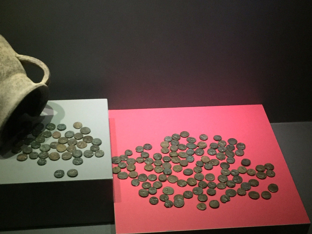 Aydin Museum-艾登必去景点
