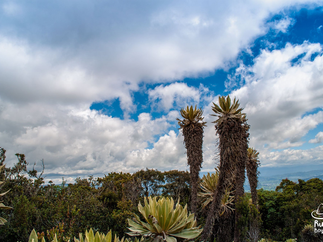 Parque Ecoturistico Los Currucuyes景点图片